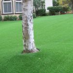 Synthetic Turf Installers in San Diego, Ca