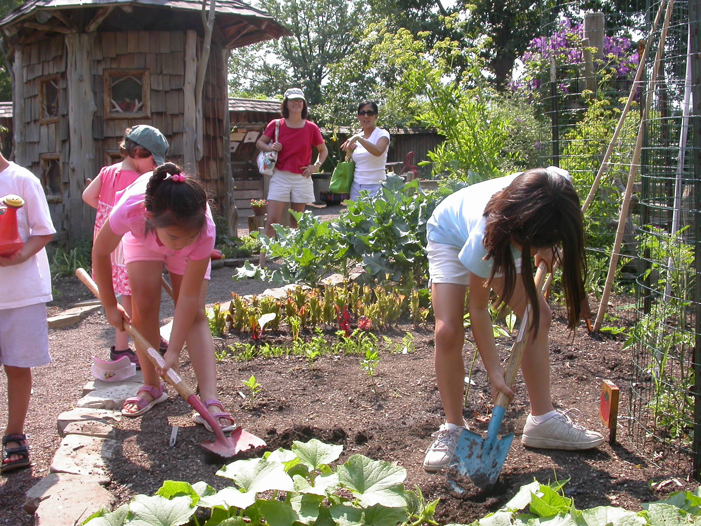 children and gardening