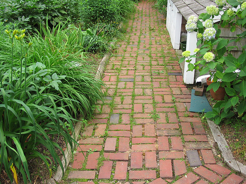 clay brick paver walkway