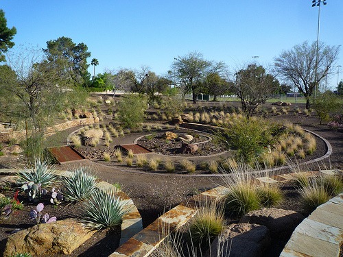 xeriscaping-in-southern-california-is-easy-install-it-direct