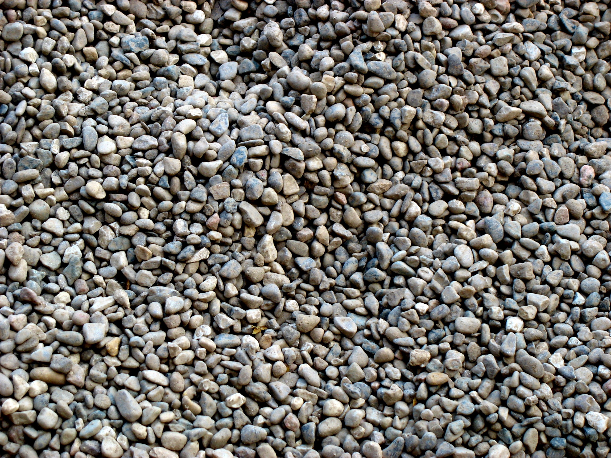 Dog Run Ideas: How to Build A Backyard Dog Run {Guide ...