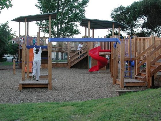 Best Groundcover Options for Playgrounds and Play Areas ...