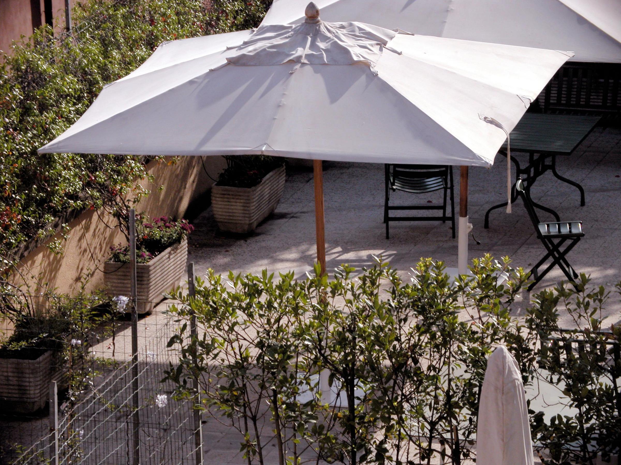 Landscaping Ideas For Privacy Guide Tips + Ideas INSTALLITDIRECT