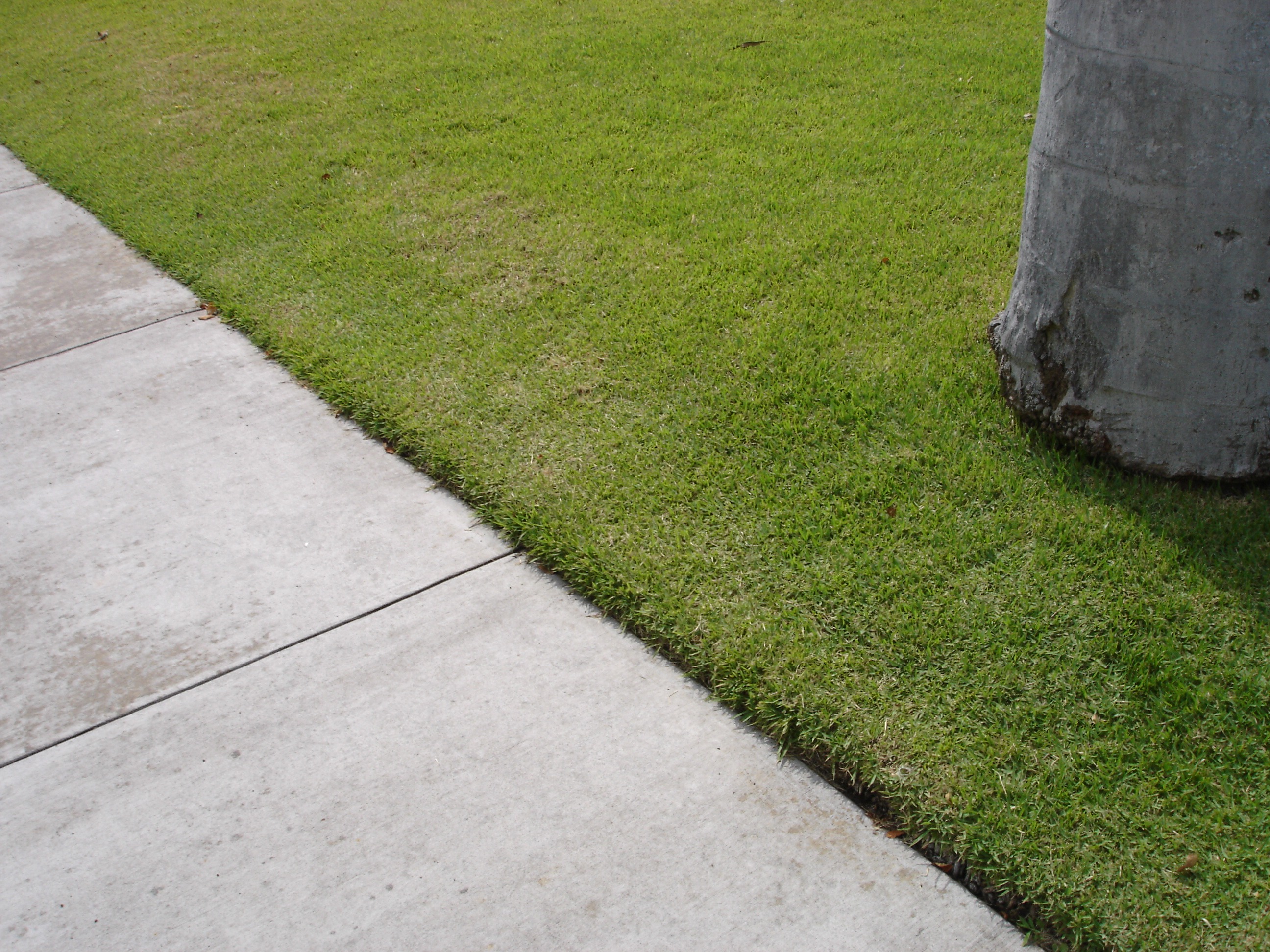 Sidewalk Landscaping Curbside Easements {Ideas + Tips} INSTALLITDIRECT