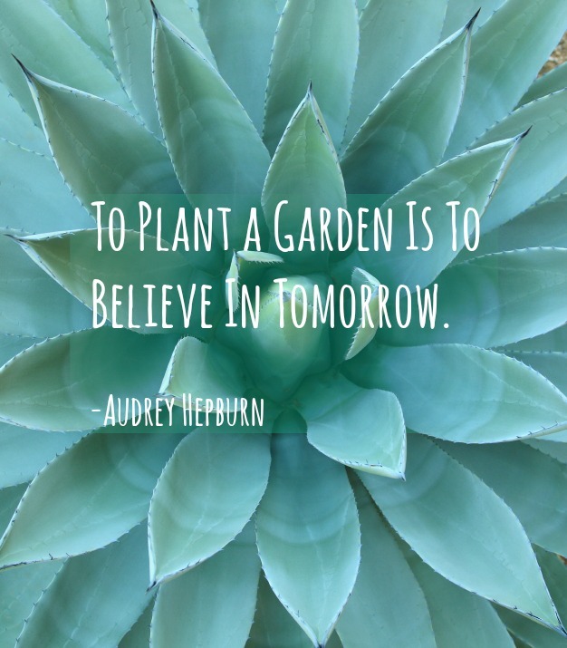 Garden Quotes: Best Gardening Quotes by Famous People | INSTALL-IT-DIRECT