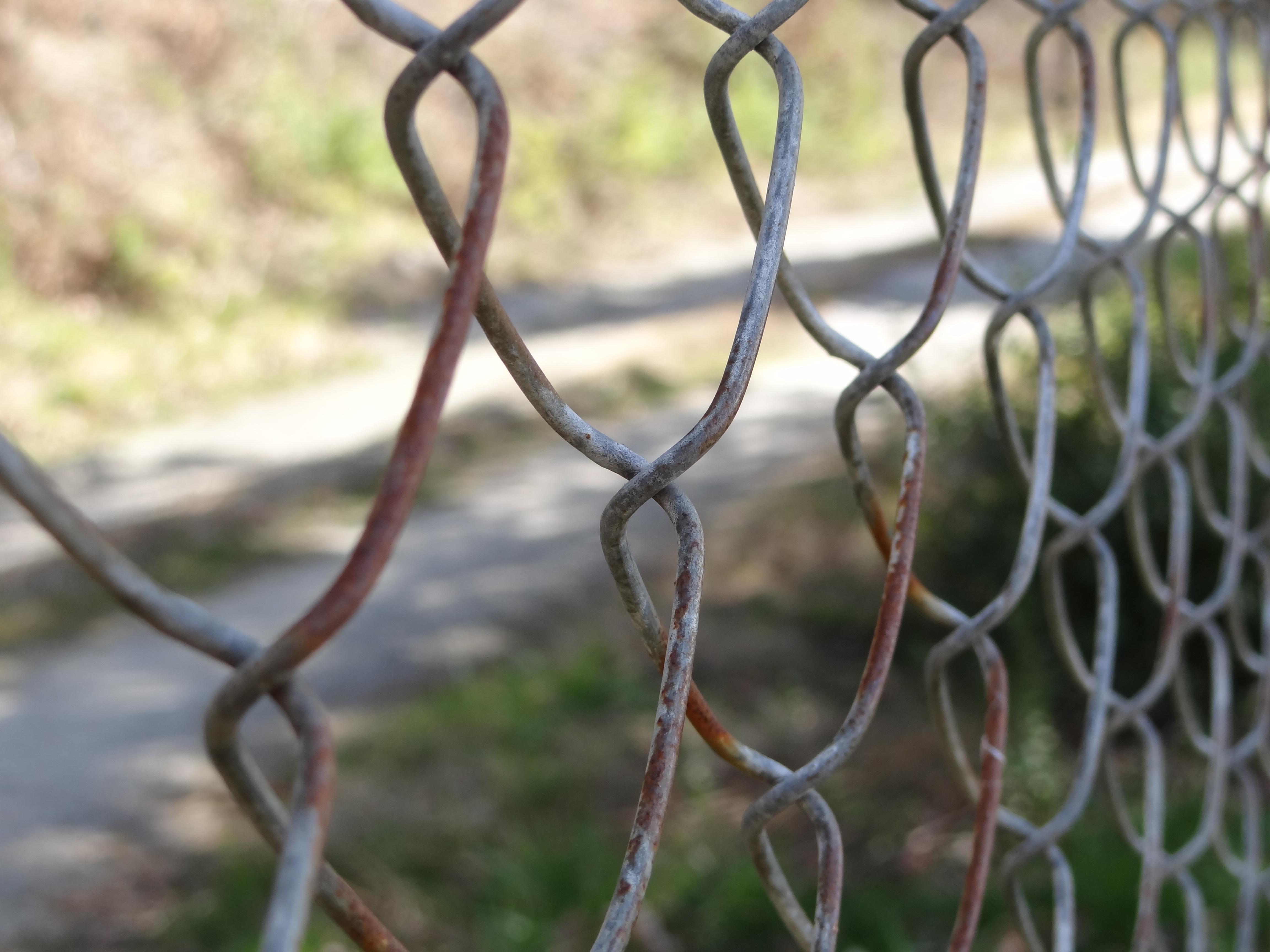 Garden Ideas To Hide Fence how to hide an ugly fence {guide} pro tips + ideas | install-it-direct Garden Ideas To Hide Fence how to hide an ugly fence {guide} pro tips + ideas | install-it-direct