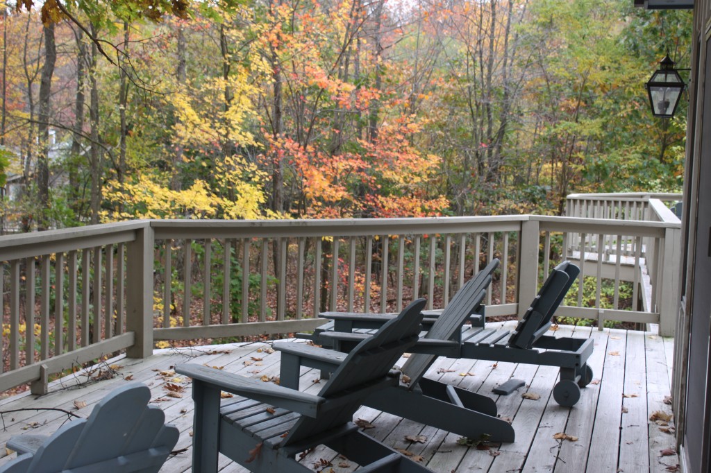 36 Landscape Design Terms You Need to Know | INSTALL-IT-DIRECT