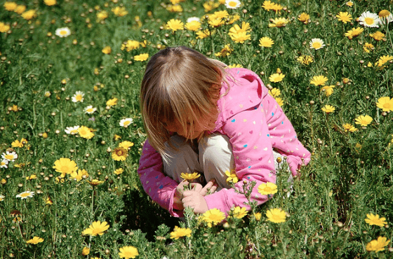 Artesanía de jardín de flores & amp; Actividades para niños