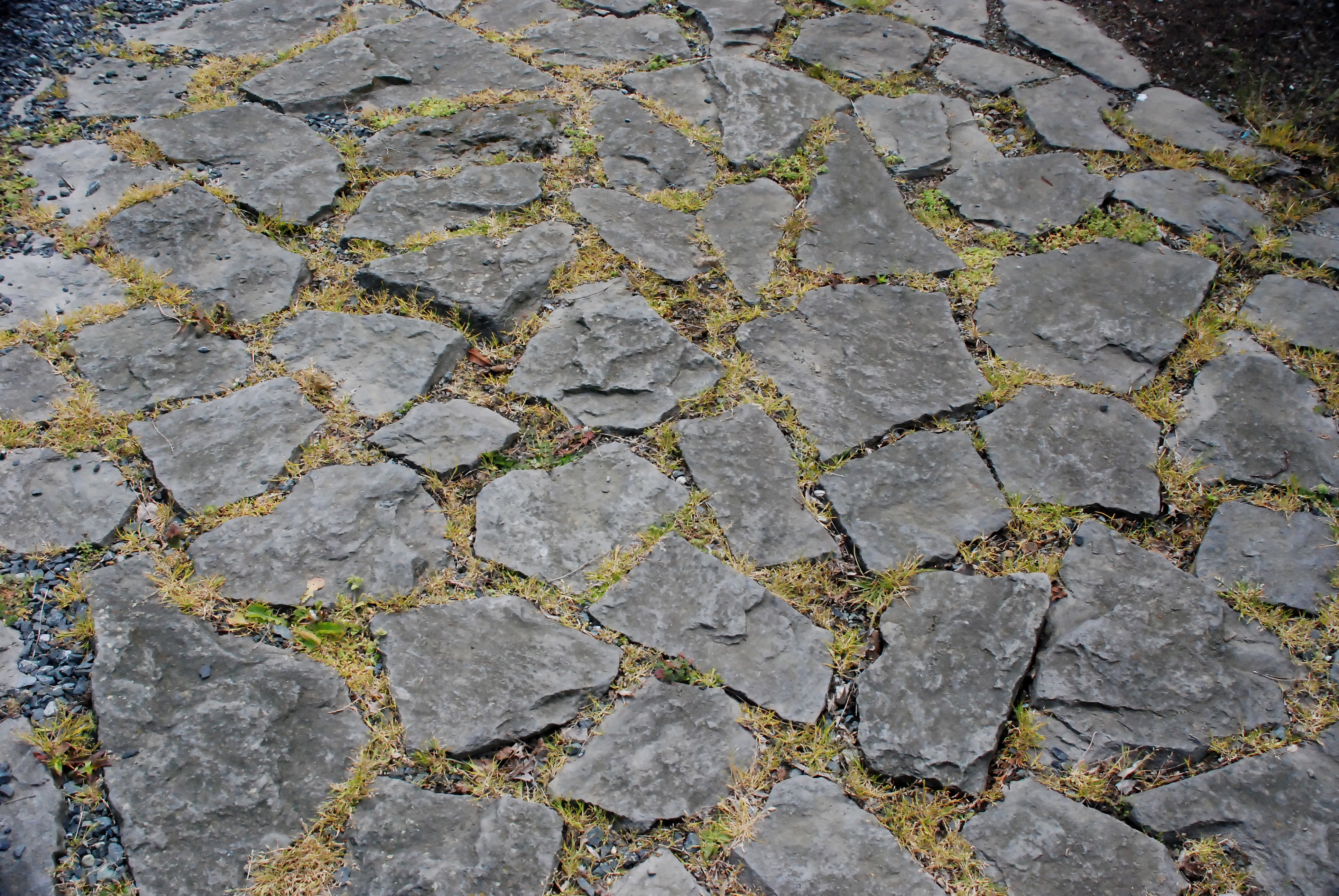 Walkway.jpg