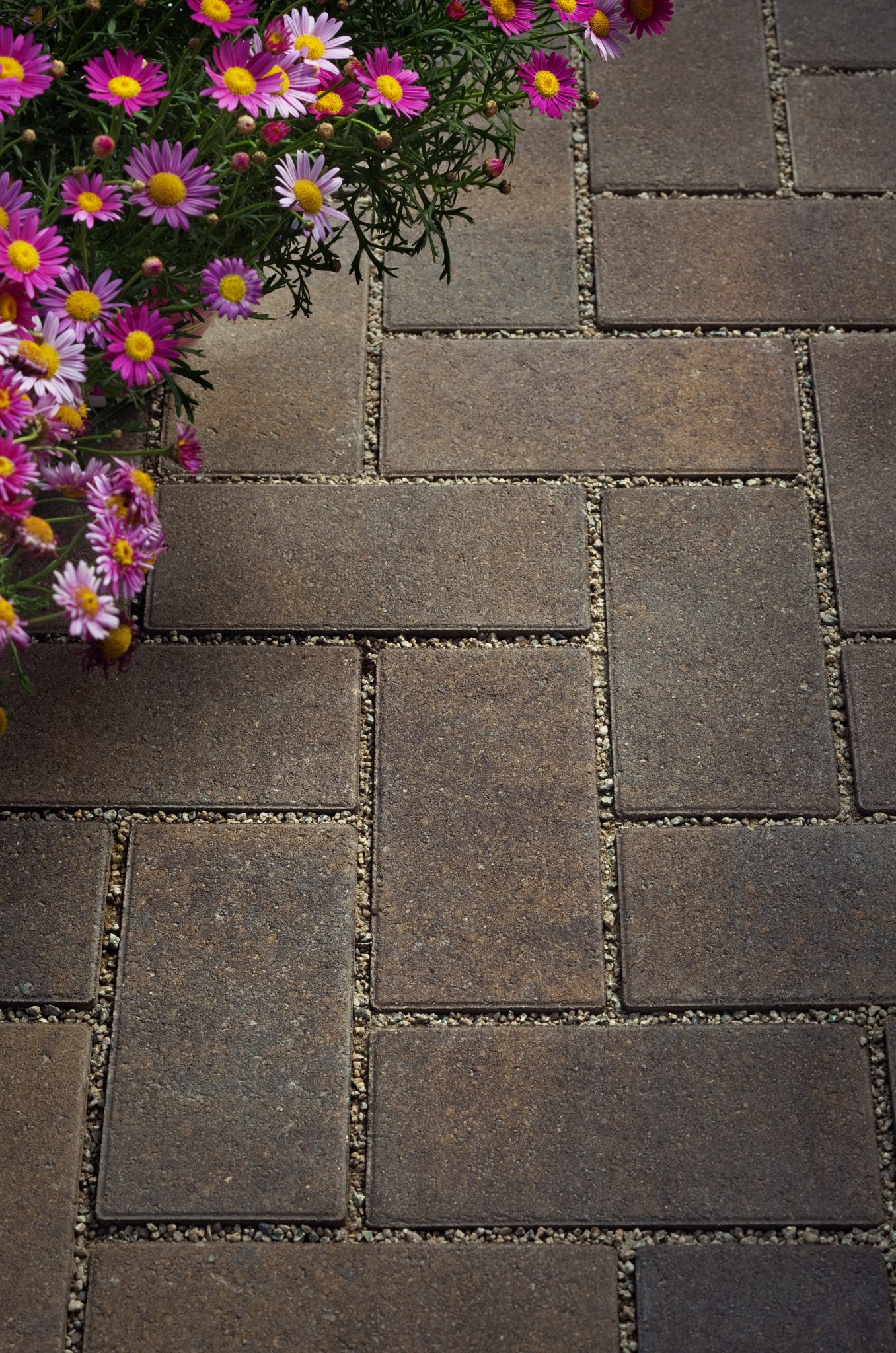 Permeable Pavers Installation Guide: PRO Tips + Advice | INSTALL-IT-DIRECT