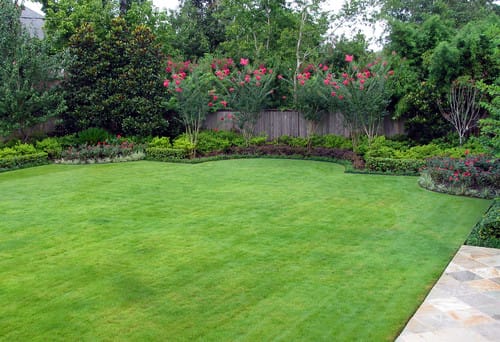 Clean lawn deals