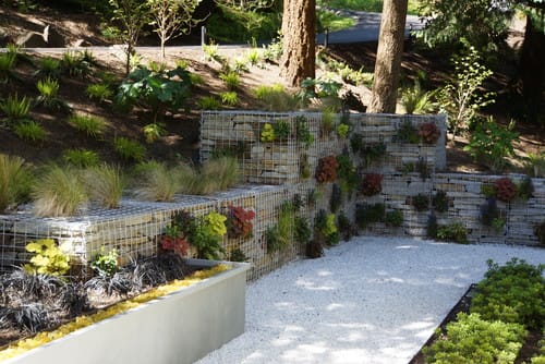 contemporary landscape living wall