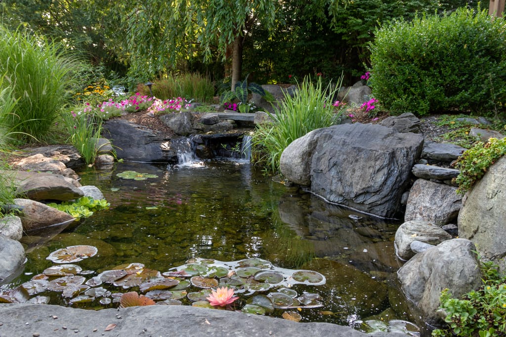 Outdoor pond surrounded by greenery and rocks. 