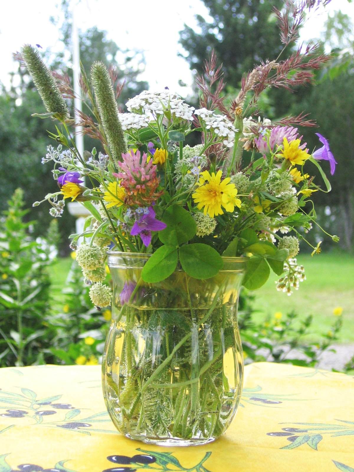 Cut Flowers