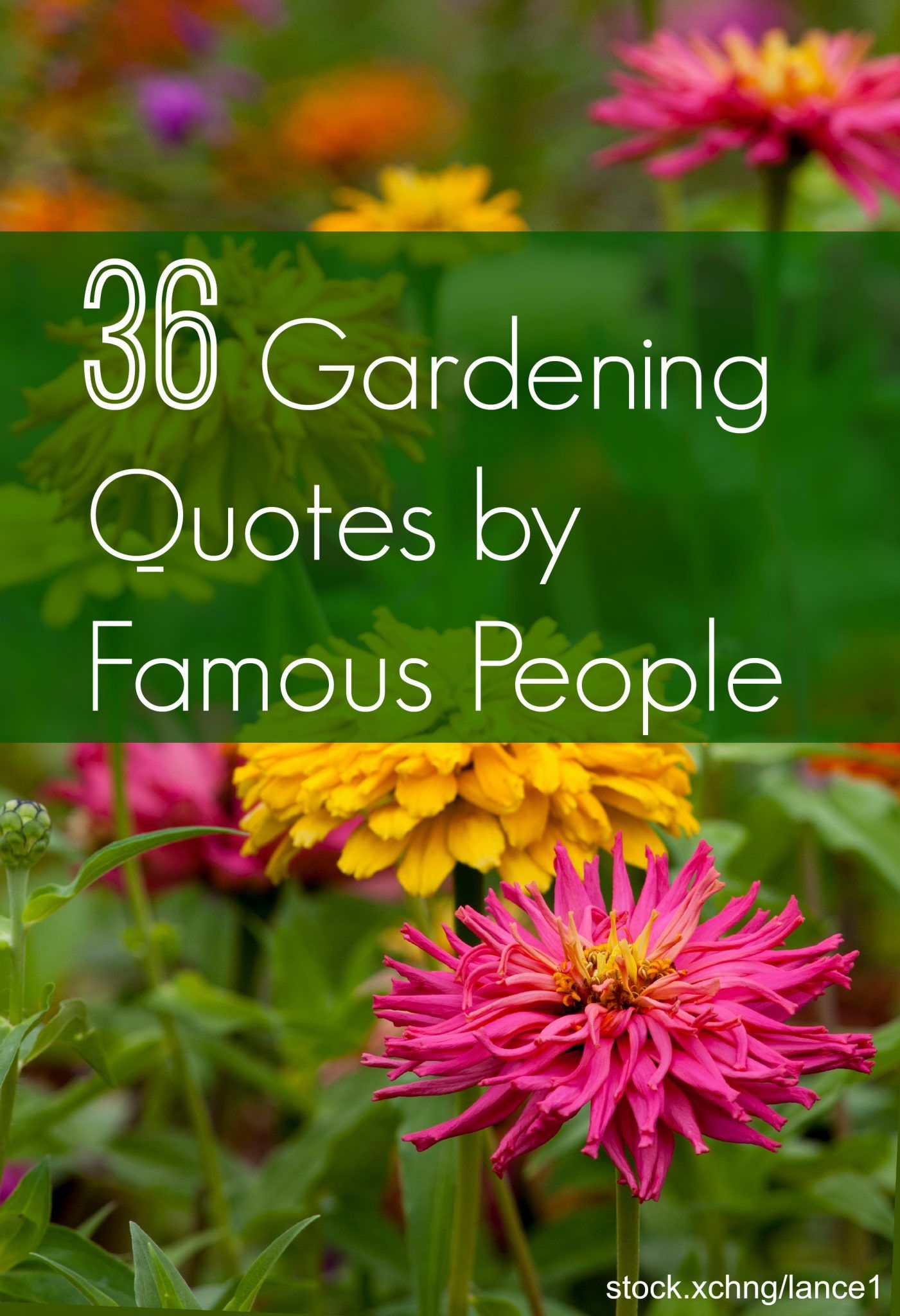 Inspriational Famous Garden Quotes