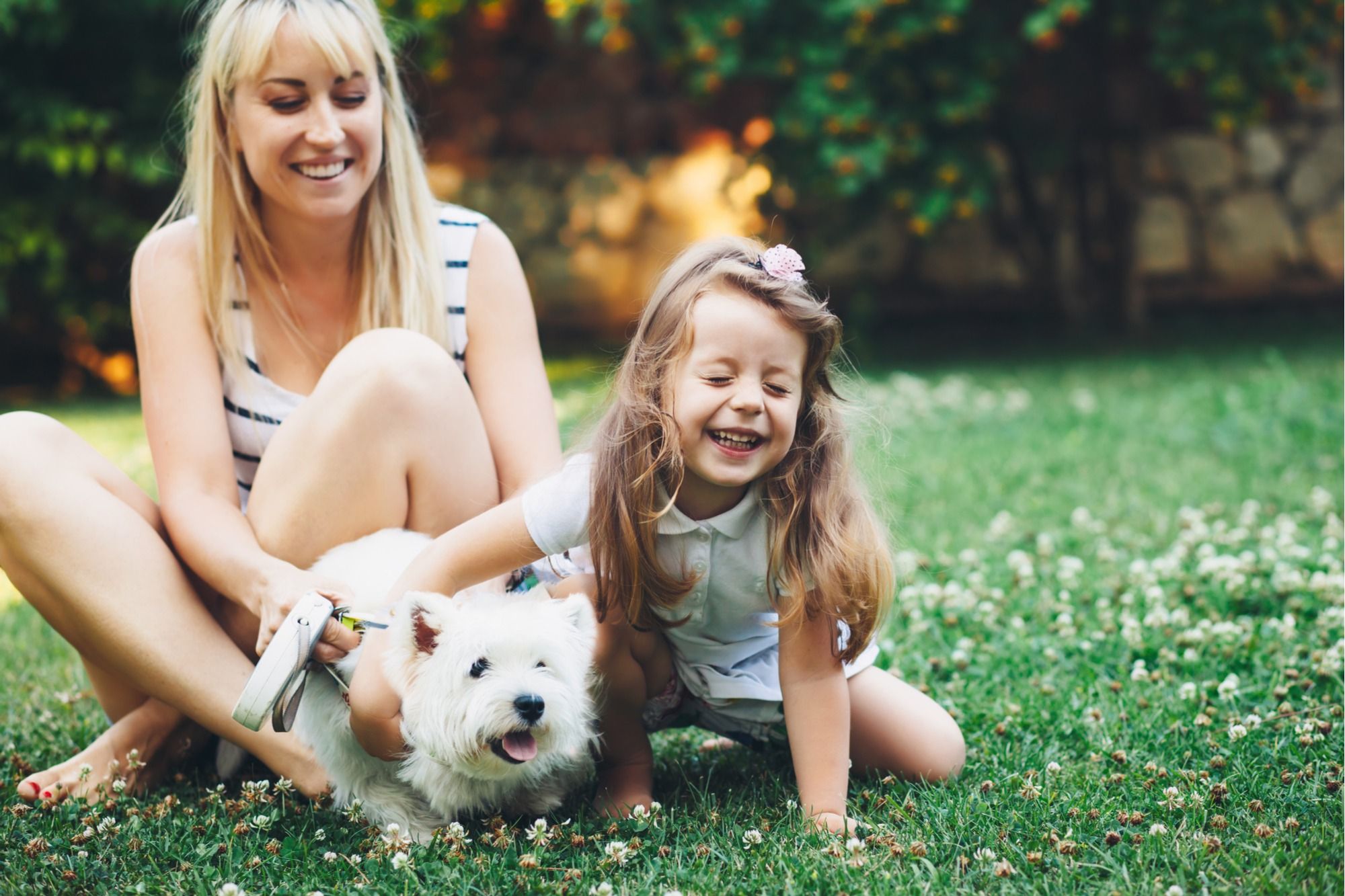 Dog Friendly Ground Cover Alternatives for Grass