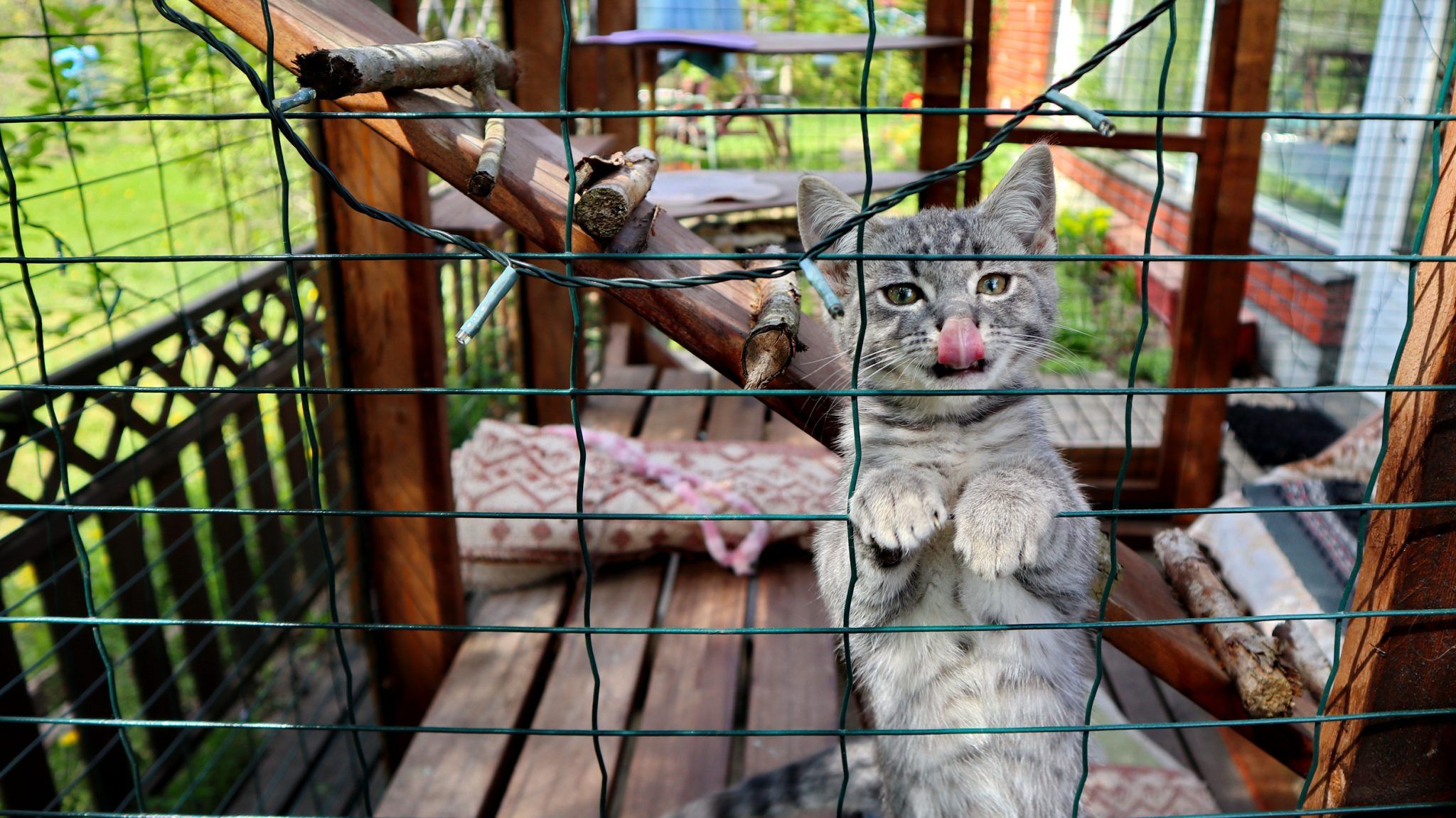 Fire hotsell escape catio