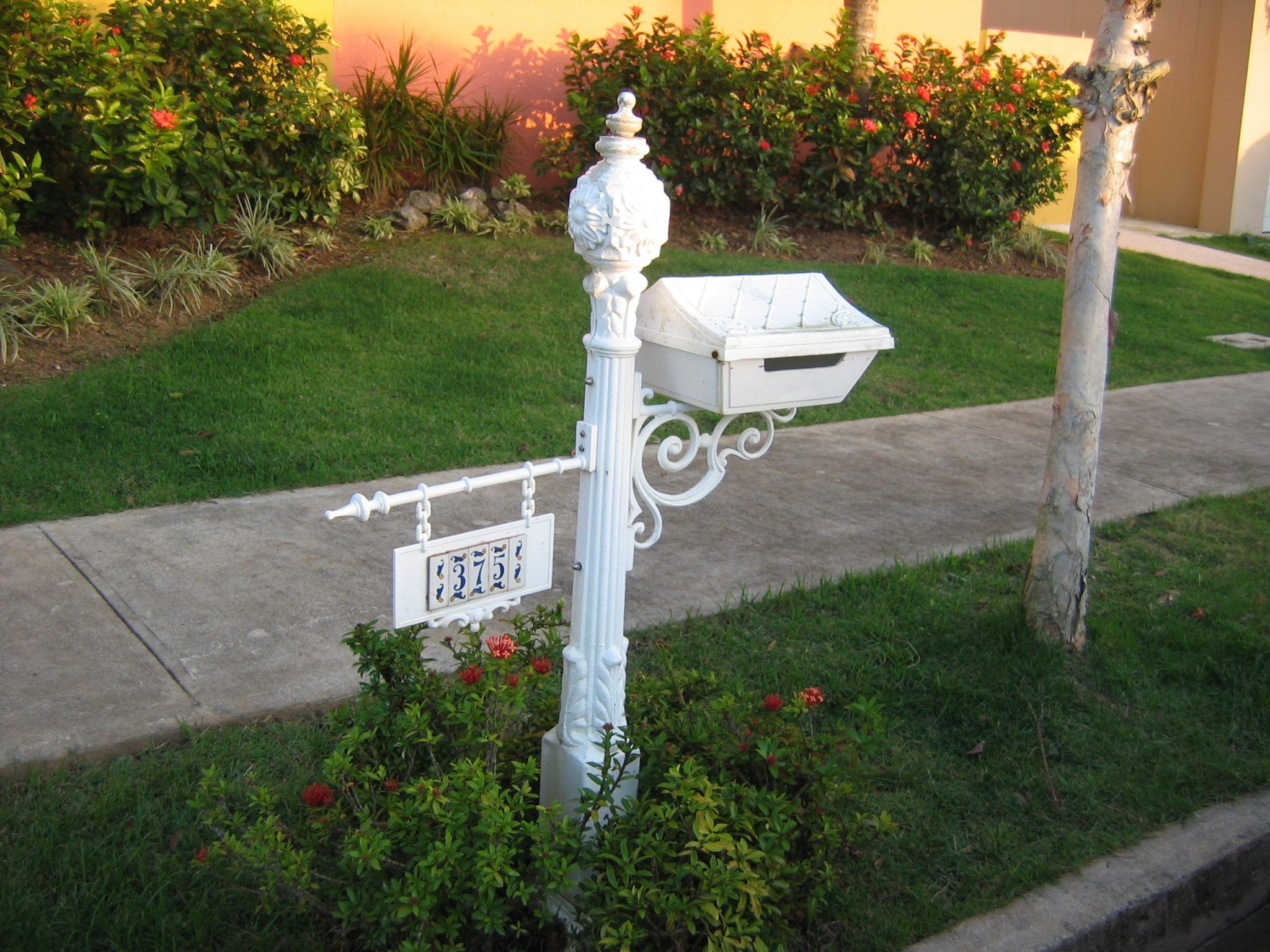 Sidewalk Landscaping Ideas