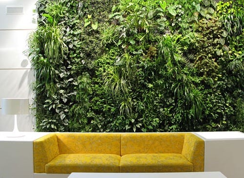 green vertical wall