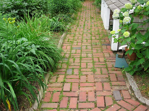 clay brick paver walkway