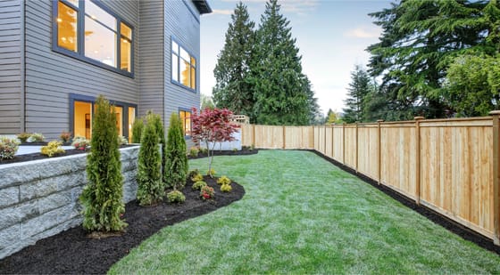 Fenced dog run ideas hot sale