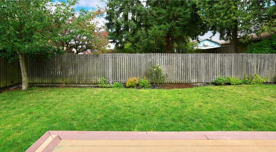 Fenced dog run ideas hot sale