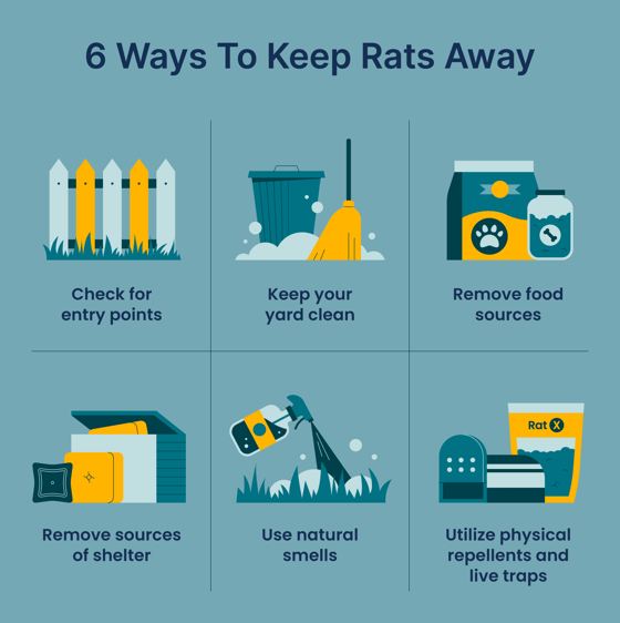 6 ways to keep rats away graphic