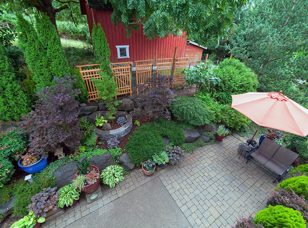 Backyard landscape with a number of shrubs and plants.