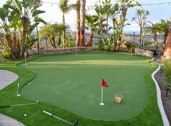 Putting green area with palm trees surrounding the grass.