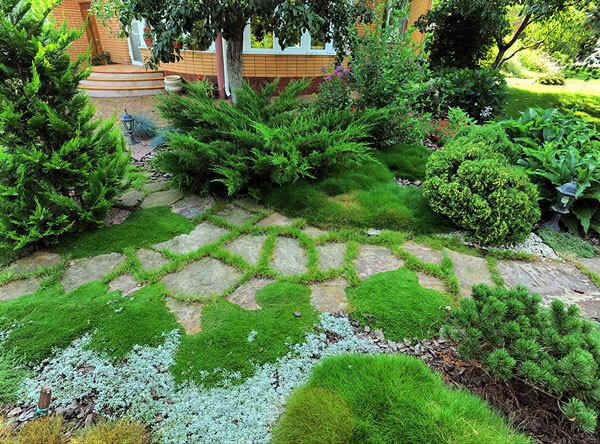 Green landscape with giant flagstone pavers as a walkway.