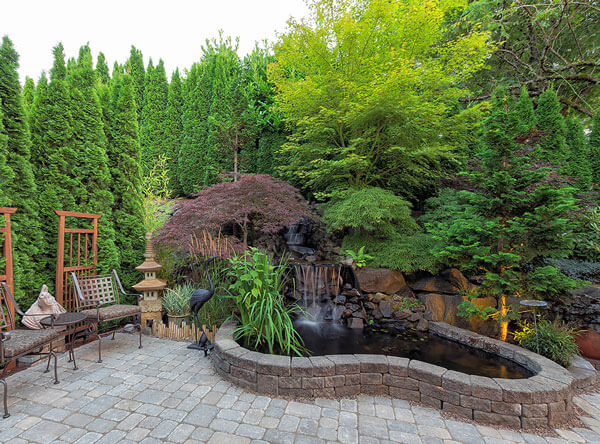 Garden area with thick trees and a pond.