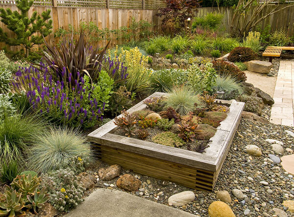 Drought resistant plants next to a raised bed.