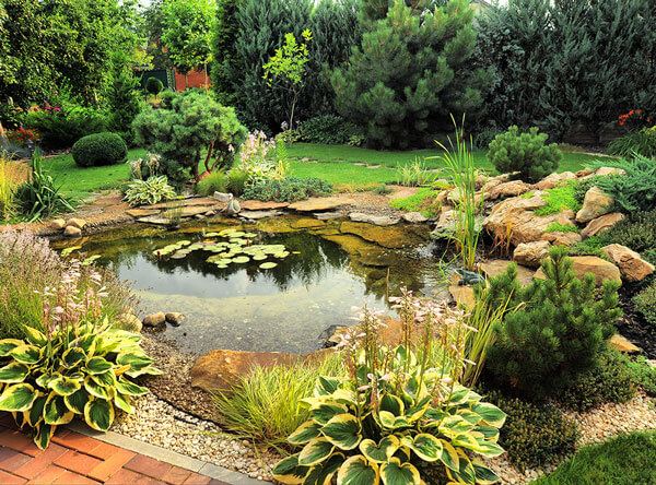 Pond with beautiful plants surrounding it, and a small grass area.