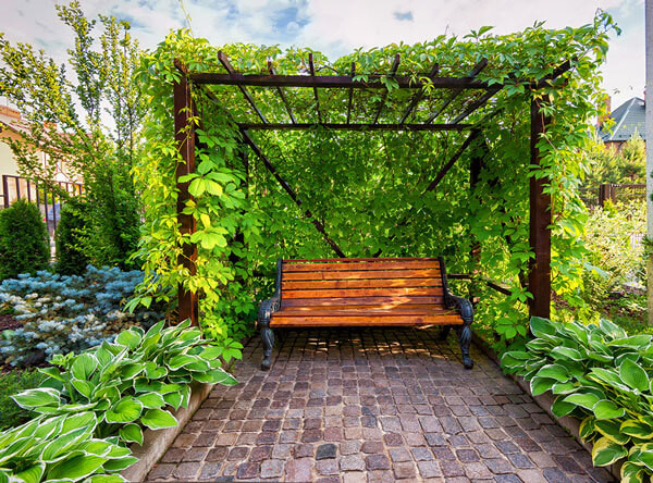 Shaded wooden bench surrounded by a beautiful flower garden.