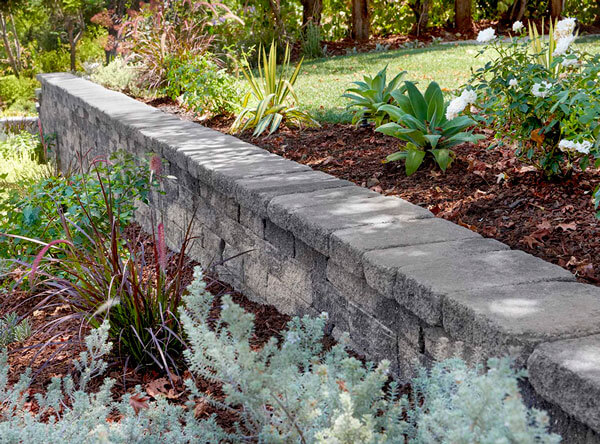 Retaining wall with different plants and flowers.