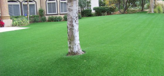 Synthetic Turf Installers in San Diego, Ca