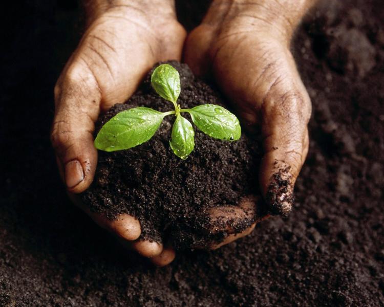 Start Your Own Compost and Reap the Benefits