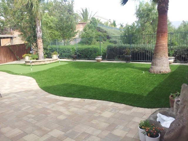 Grass Alternatives for Backyards