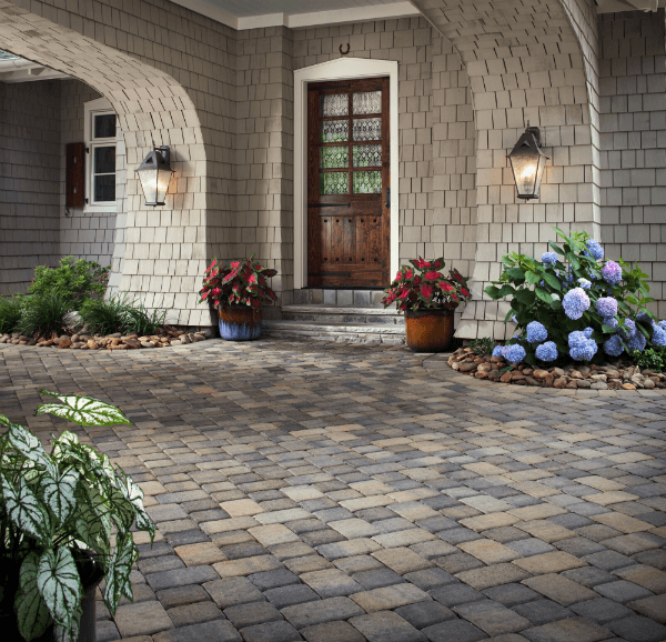  Low-Maintenance Yard 