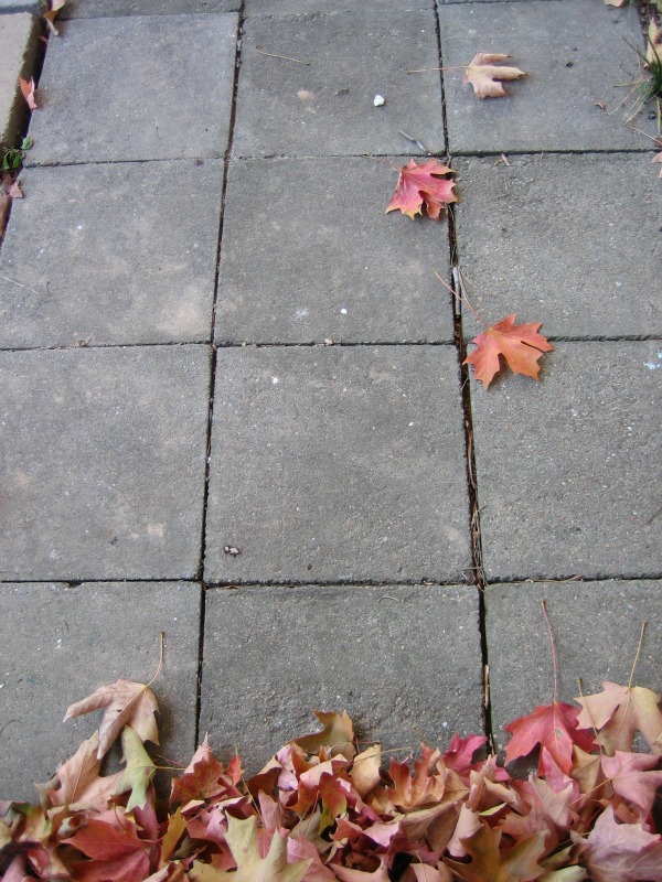 How to remove stains on concrete pavers