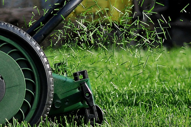 Lawn Clippings Lawn Clippings