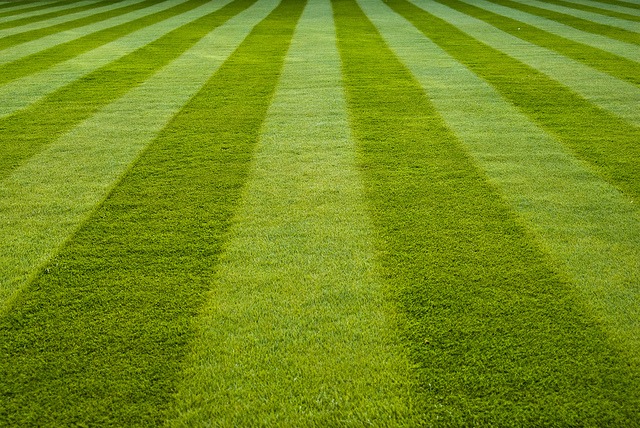 Lawn Striping