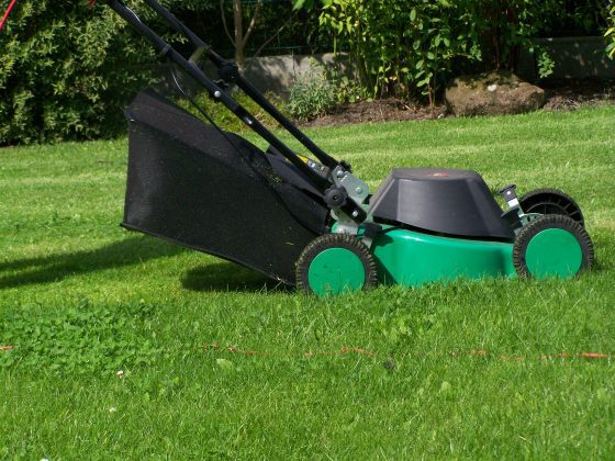Why Choose Green Landscaping?