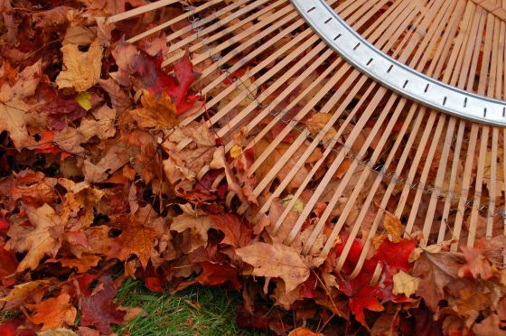 What is Eco-Friendly Landscaping