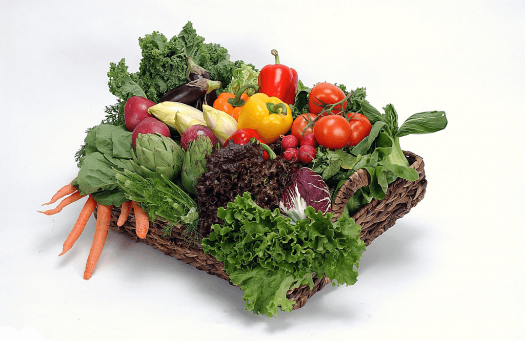 vegetable-garden-tips