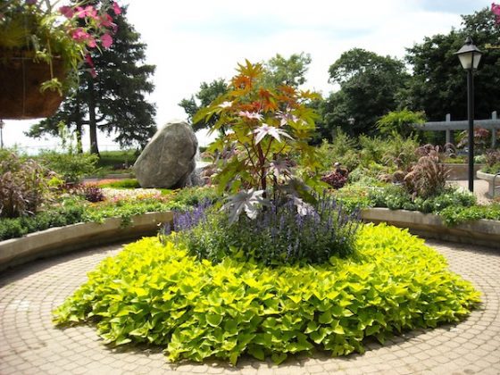 Natural Gardening