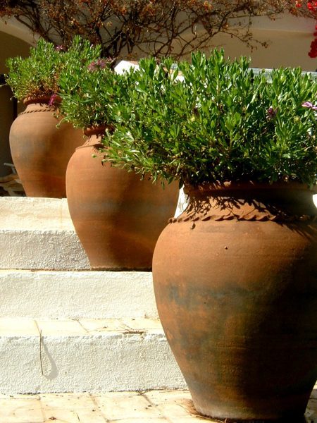 Easy Landscaping Ideas for Increasing Curb Appeal