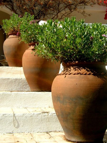 Easy Landscaping Ideas for Increasing Curb Appeal