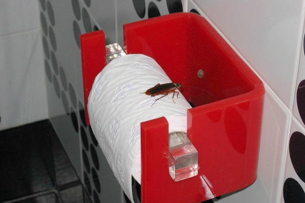cockroach natural pest control