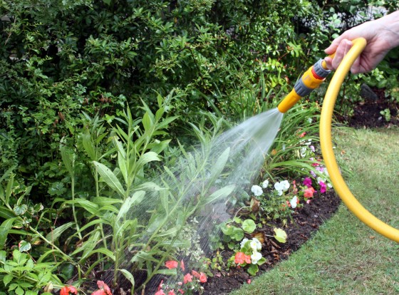 Garden like Your Grandparents to Save Money and Stay Active